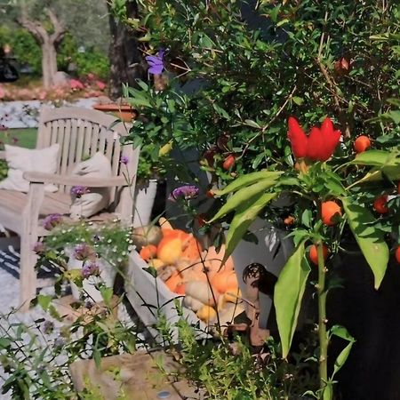 Casa Autunno Hotel Монцамбано Екстериор снимка